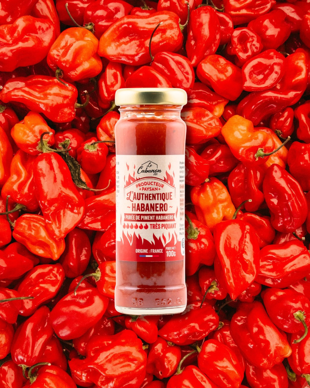 Du champ à l’assiette : la transformation artisanale du piment